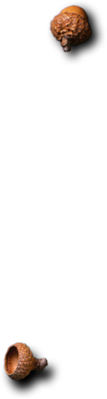 Antoine épicerie fine